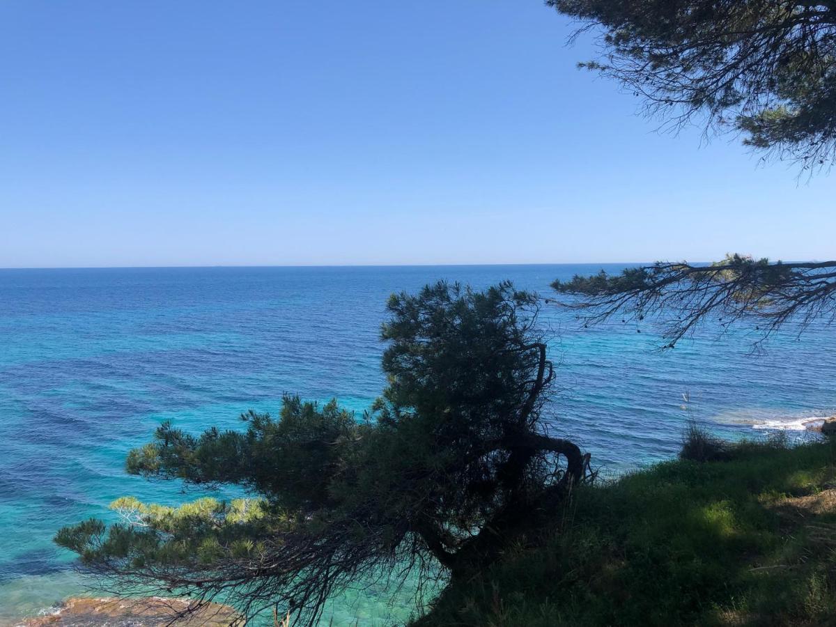 Fabiola 1 Apartment Calpe Bagian luar foto